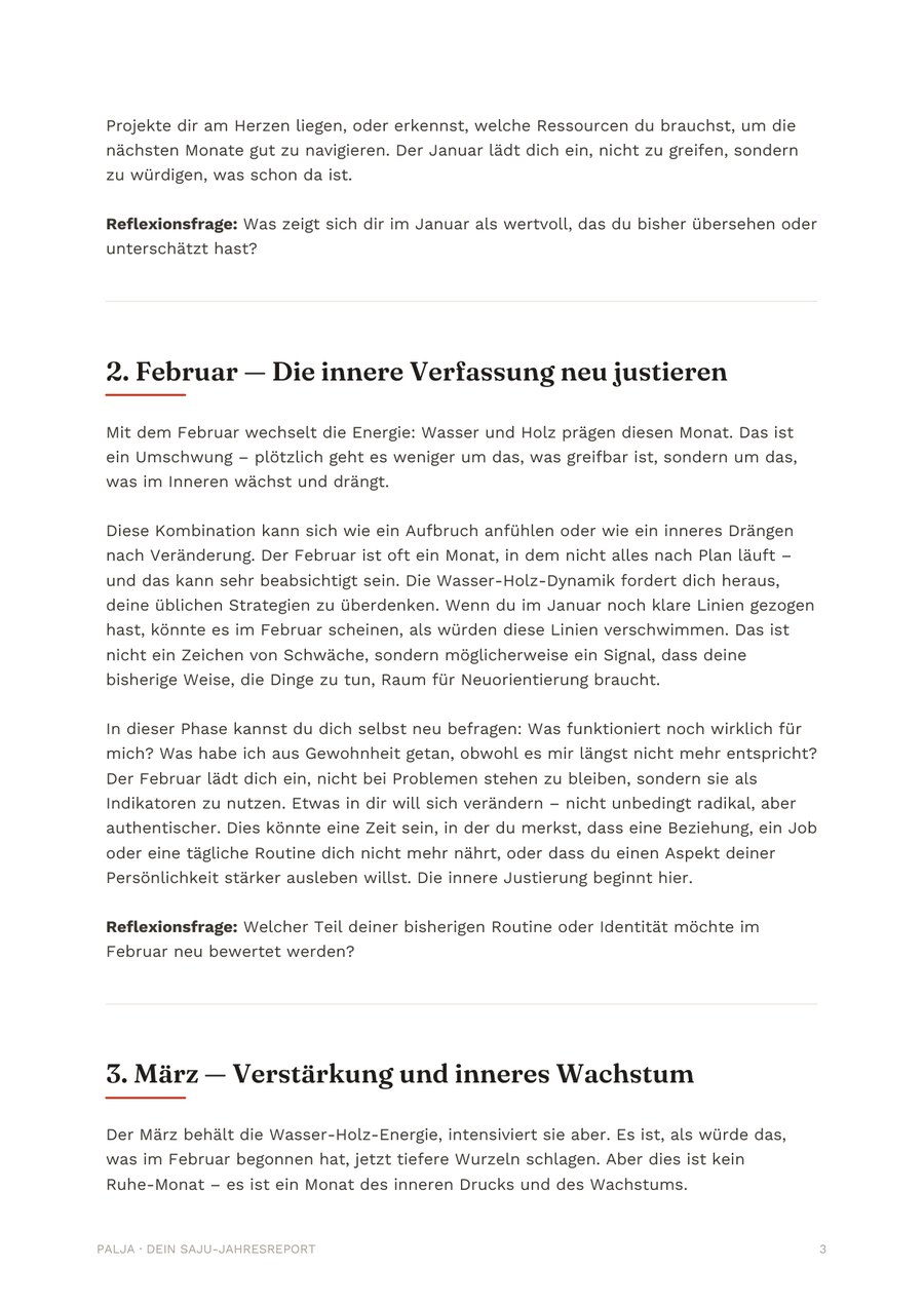 Beispielseite eines echten Palja-Jahresreports mit monatlichen Kapiteln